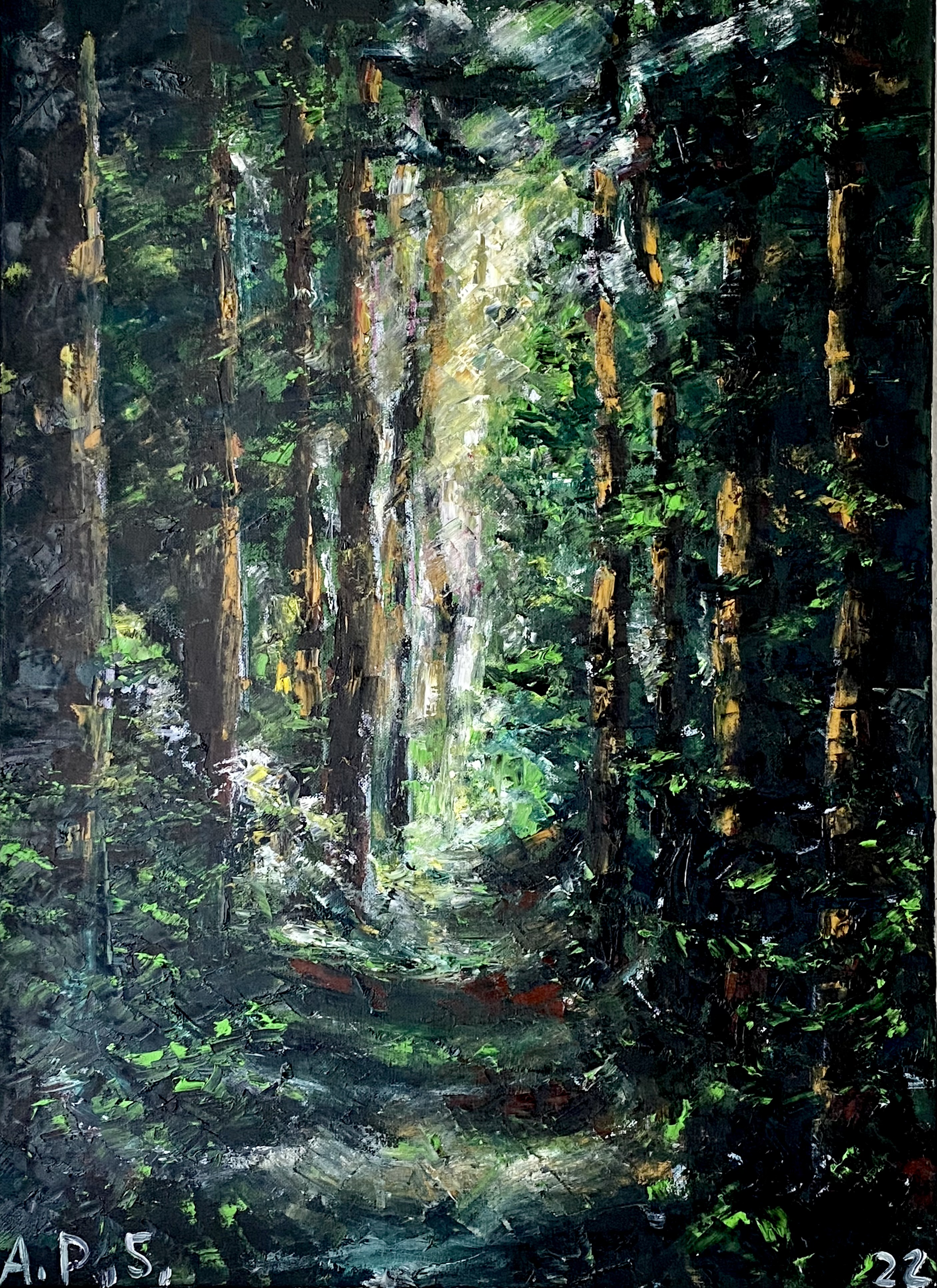 Schwarzwald - forest painting with dramatic light